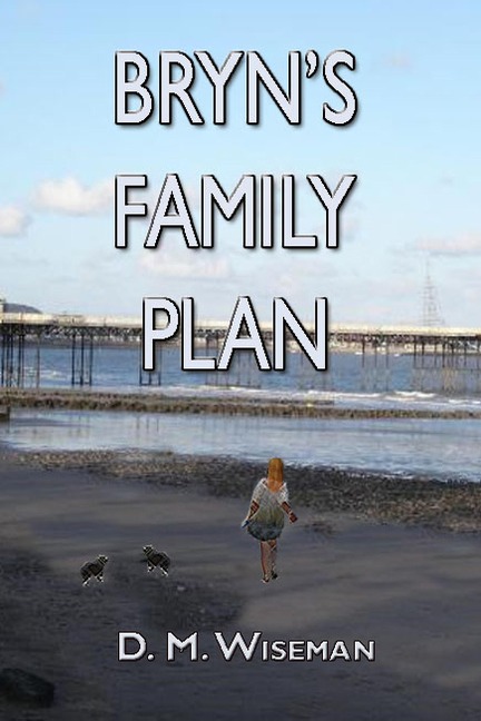 Bryn's Family Plan - Dm Wiseman