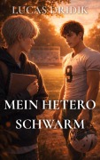 Cover-Bild zum Titel 'Mein hetero Schwarm' von 'Lucas Dridik'