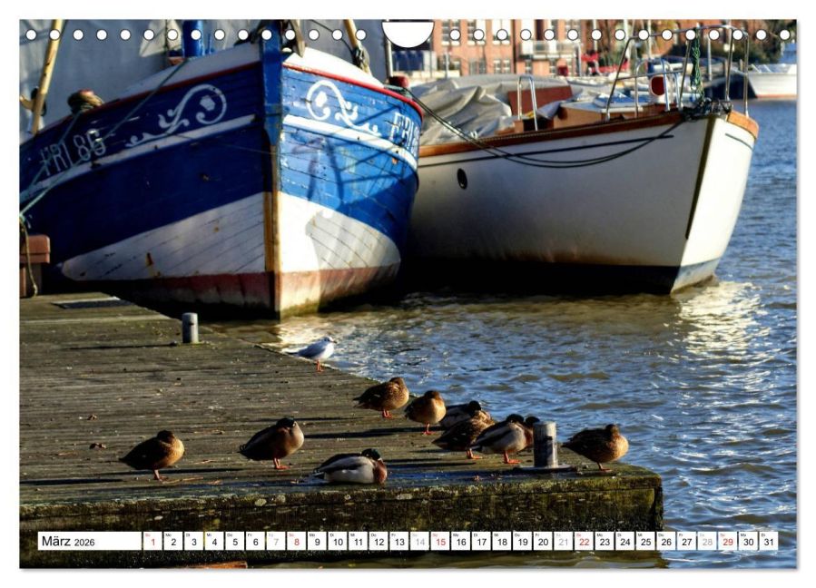 InsideView 8