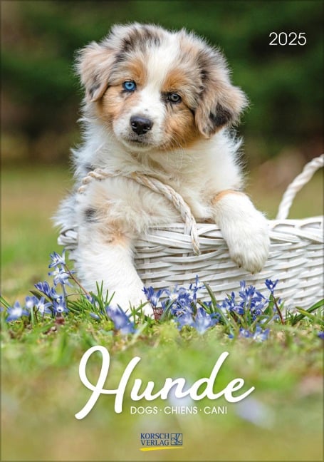 Hunde 2025 - 