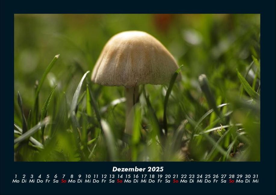 InsideView 4