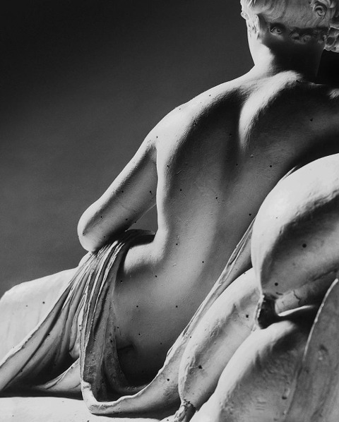 Canova. Quattro tempi - Domenico Antonio Pallavicino, Vittorio Sgarbi