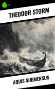 Cover-Bild zum Titel 'Aquis Submersus' von 'Theodor Storm'
