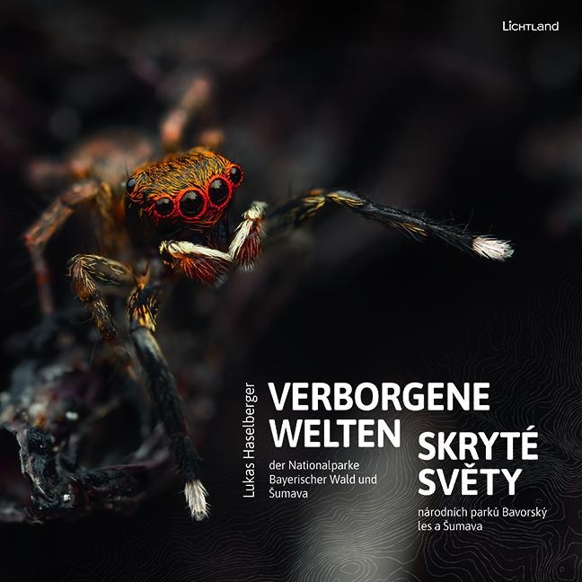Verborgene Welten - 