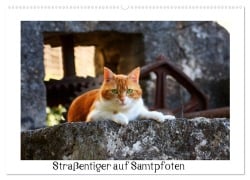 Cover-Bild zum Titel 'Straßentiger auf Samtpfoten (Wandkalender 2027 DIN A2 quer), CALVENDO Monatskalender' von 'Katrin Zeller & Christian Kiedy'