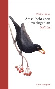 Cover-Bild zum Titel 'Amsel hebt eben zu singen an' von 'Marita Lanfer'