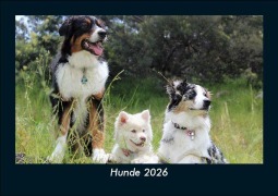 Cover-Bild zum Titel 'Hunde 2026 Fotokalender DIN A5' von 'Tobias Becker'