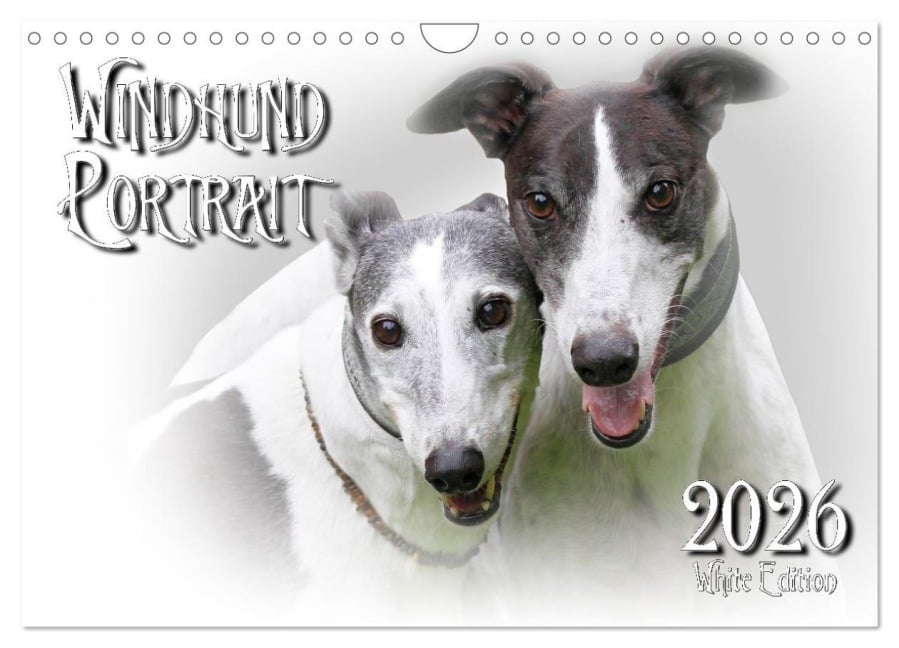 Windhund Portrait 2026 White Edition (Wandkalender 2026 DIN A4 quer), CALVENDO Monatskalender - Andrea Redecker