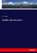 Cover-Bild zum Titel 'Sündflut oder Gletscher?' von 'Alois Trissl'