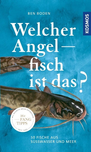 Welcher Angelfisch ist das? - Ben Boden