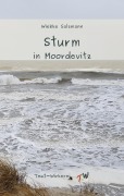 Cover-Bild zum Titel 'Sturm in Moordevitz' von 'Wiebke Salzmann'
