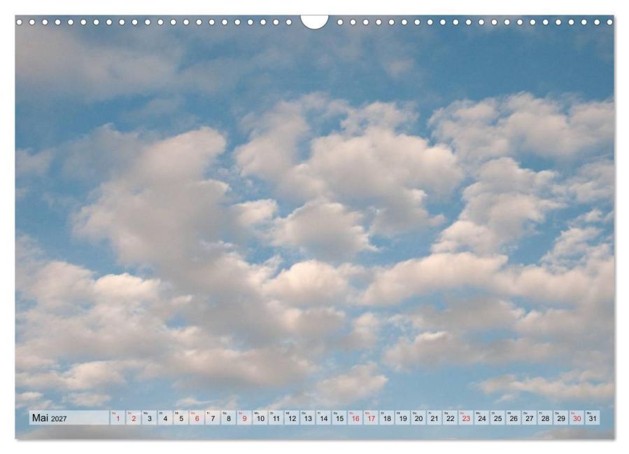 InsideView 10