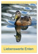 Cover-Bild zum Titel 'Liebenswerte Enten (Tischkalender 2026 DIN A5 hoch), CALVENDO Monatskalender' von 'Kattobello Kattobello'
