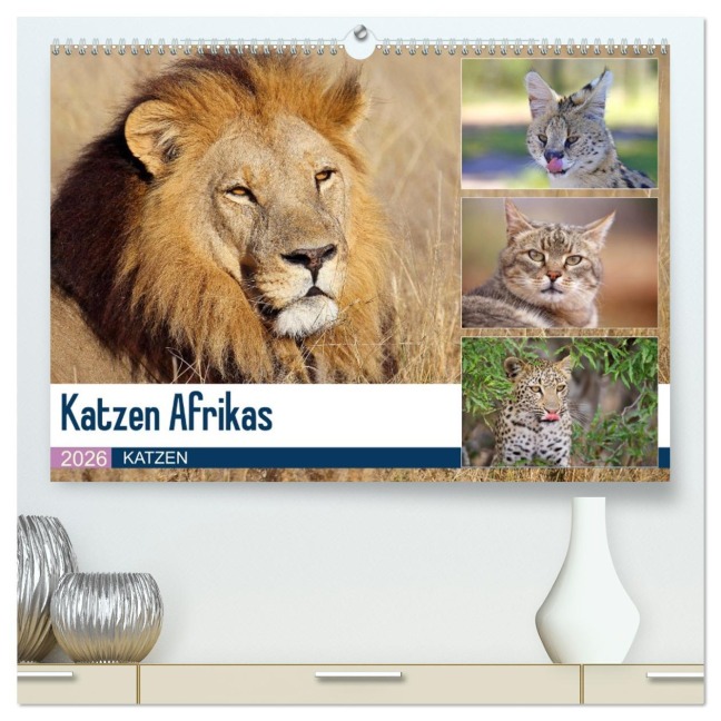 Katzen Afrikas (hochwertiger Premium Wandkalender 2026 DIN A2 quer), Kunstdruck in Hochglanz - Michael Herzog