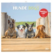 Cover-Bild zum Titel 'Hunde 2027' von ''