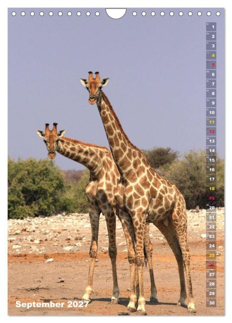 InsideView 14