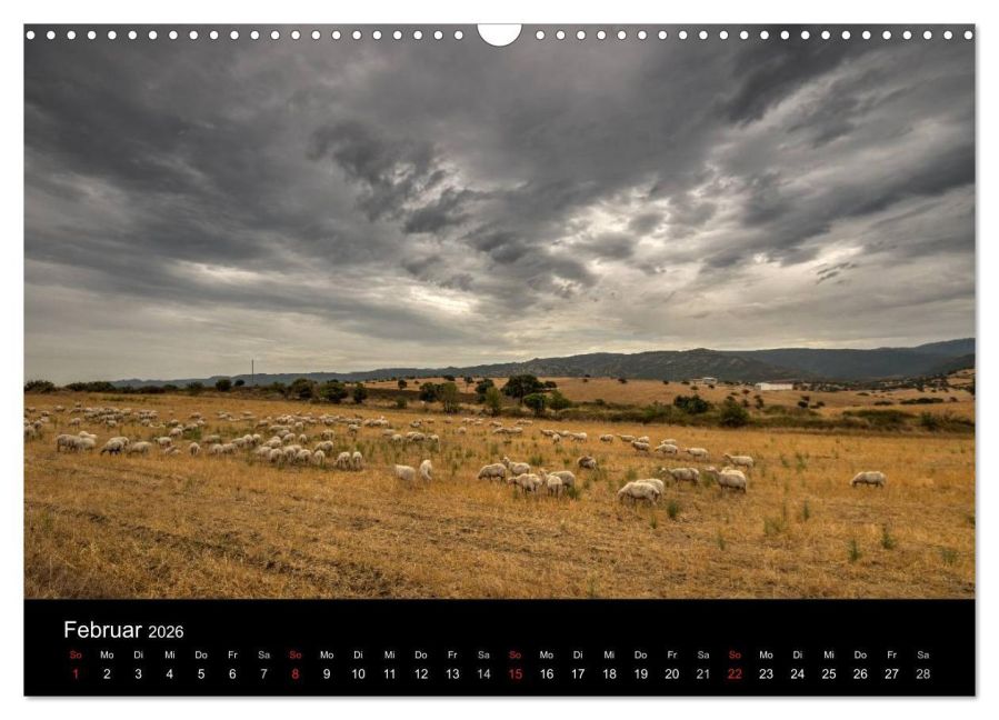 InsideView 7