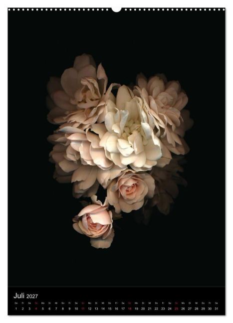 InsideView 12