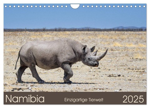 Namibia - einzigartige Tierwelt (Wandkalender 2025 DIN A4 quer), CALVENDO Monatskalender - Christian Alpert