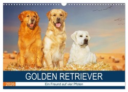 Cover-Bild zum Titel 'Golden Retriever - Ein Freund auf vier Pfoten (Wandkalender 2026 DIN A3 quer), CALVENDO Monatskalender' von 'Sigrid Starick'