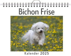 Cover-Bild zum Titel 'Bichon Frise' von 'Felix Kaiser'