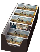 Cover-Bild zum Titel 'Carl Spitzweg. Memo | Matching Game 10 Expl. im Verkaufsdisplay' von ''