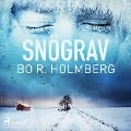 Cover-Bild zum Titel 'Snögrav' von 'Bo R. Holmberg'