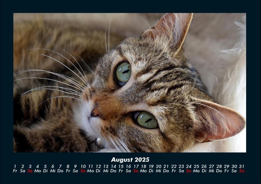 InsideView 12