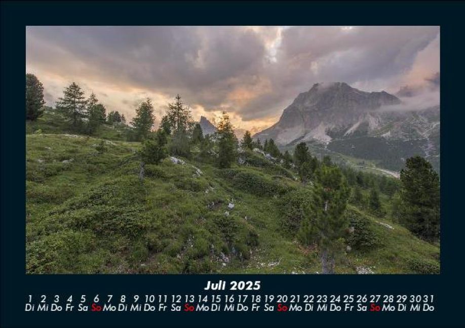 InsideView 11