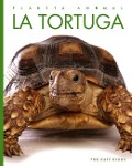 Cover-Bild zum Titel 'La Tortuga' von 'Kate Riggs'
