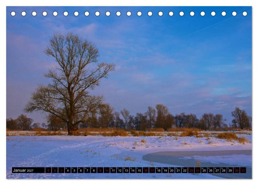 InsideView 6