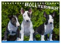 Bullterrier (Tischkalender 2025 DIN A5 quer), CALVENDO Monatskalender - Bullterrier Bullterrier
