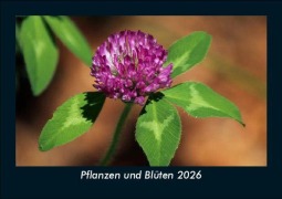 Cover-Bild zum Titel 'Pflanzen und Blüten 2026 Fotokalender DIN A5' von 'Tobias Becker'