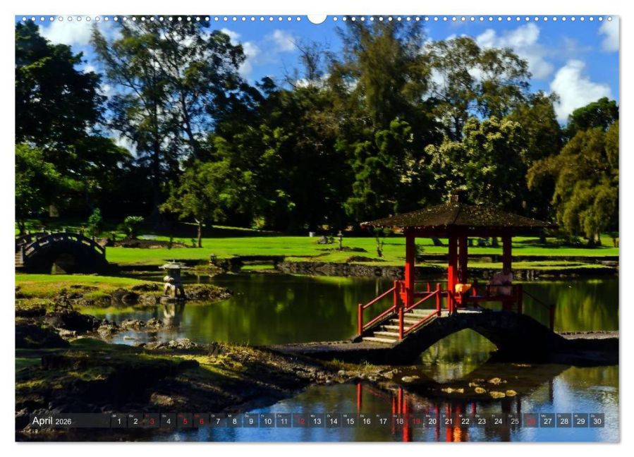 InsideView 8