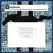 Cover-Bild zum Titel 'Ponybook' von 'Carlotta Veneris'