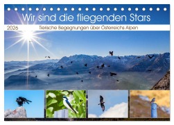 Wir sind die fliegenden Stars (Tischkalender 2026 DIN A5 quer), CALVENDO Monatskalender - Christa Kramer