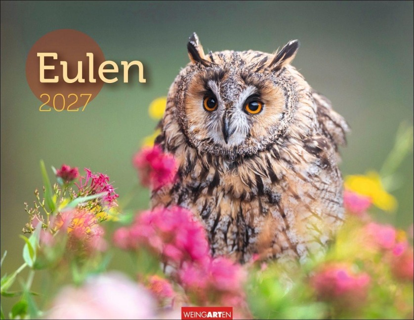 Eulen Kalender 2027 - 
