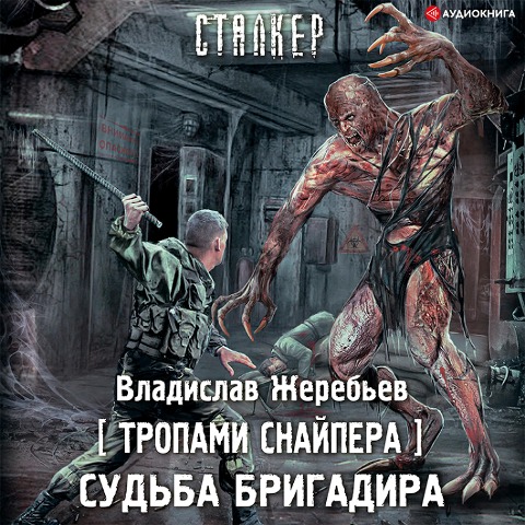 Tropami Snajpera. Sud'ba Brigadira - Vladislav Zhereb'ev