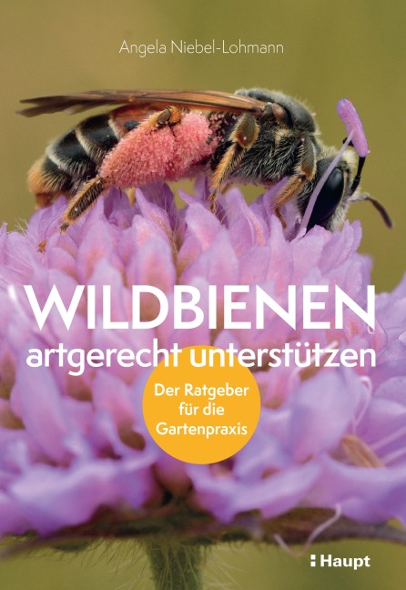 Wildbienen artgerecht unterstützen - Angela K. Niebel-Lohmann