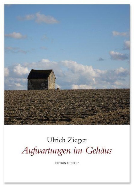 Aufwartungen im Gehäus - Ulrich Zieger