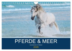 Cover-Bild zum Titel 'PFERDE & MEER (Wandkalender 2026 DIN A4 quer), CALVENDO Monatskalender' von 'Petra Eckerl Tierfotografie'