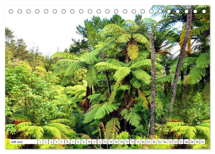 InsideView 12