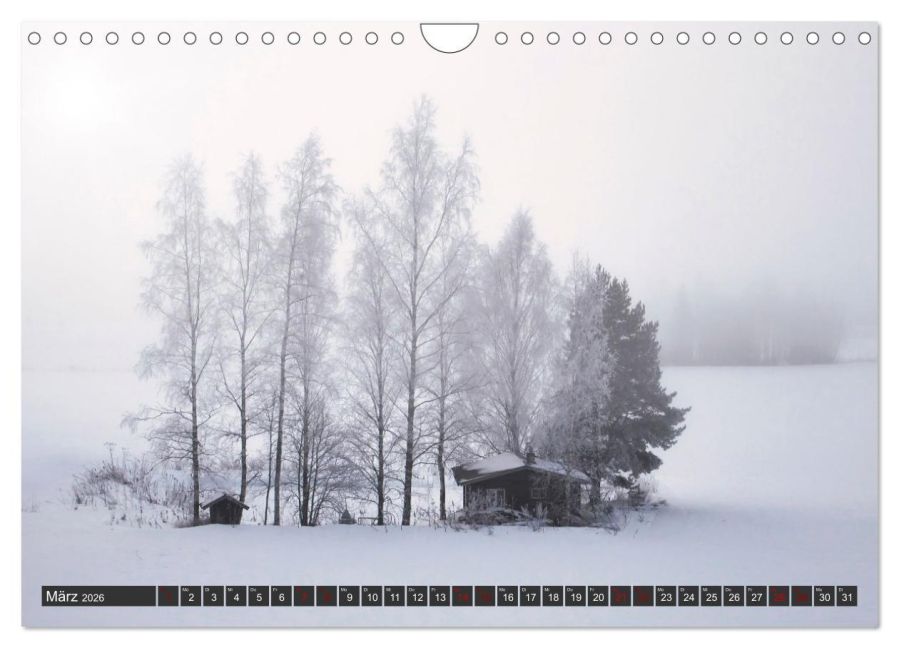 InsideView 8