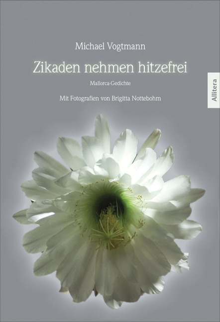 Zikaden nehmen hitzefrei - Michael Vogtmann