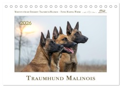 Cover-Bild zum Titel 'Traumhund Malinois (Tischkalender 2026 DIN A5 quer), CALVENDO Monatskalender' von 'Martina Wrede - Wredefotografie'