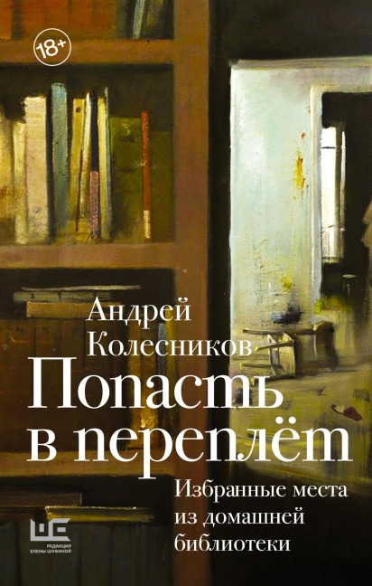 Popast v pereplyot. Izbrannye mesta iz domashney biblioteki - Andrey Kolesnikov
