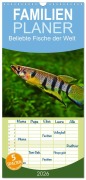 Cover-Bild zum Titel 'Familienplaner 2026 - Beliebte Fische der Welt mit 5 Spalten (Wandkalender, 21 x 45 cm) CALVENDO' von 'Rudolf Pohlmann'