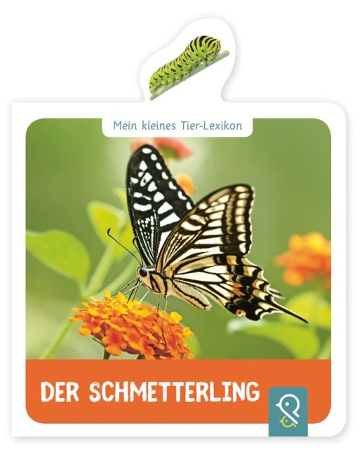Mein kleines Tier-Lexikon - Der Schmetterling - Hannah Kastenhuber