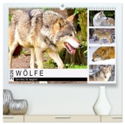 Wölfe. Ein Herz für Isegrim! (hochwertiger Premium Wandkalender 2026 DIN A2 quer), Kunstdruck in Hochglanz - Rose Hurley