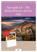 Cover-Bild zum Titel 'Tischplaner 2027 - Alpenplüsch - Mit Murmeltieren durchs Jahr (A5 Tischkalender zum Aufstellen) CALVENDO' von 'Simone Wunderlich'
